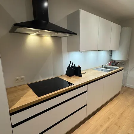 Apartment Stylish 1br & 1lr Apt, 15 Min Walk To Center *