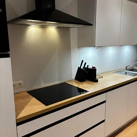 Stylish 1br & 1lr Apt, 15 Min Walk To Center Apartment Ghent