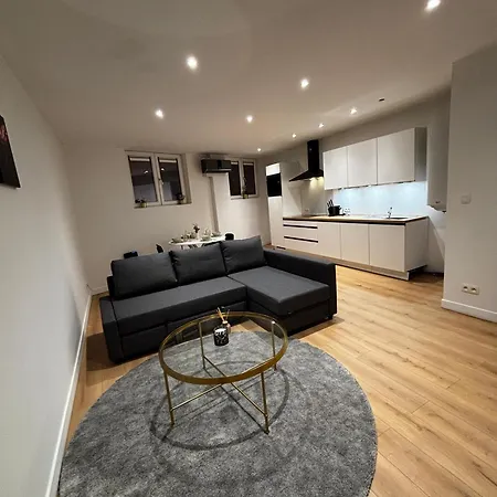 Stylish 1br & 1lr Apt, 15 Min Walk To Center Ghent