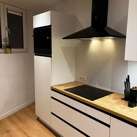 Apartment Stylish 1br & 1lr Apt, 15 Min Walk To Center *