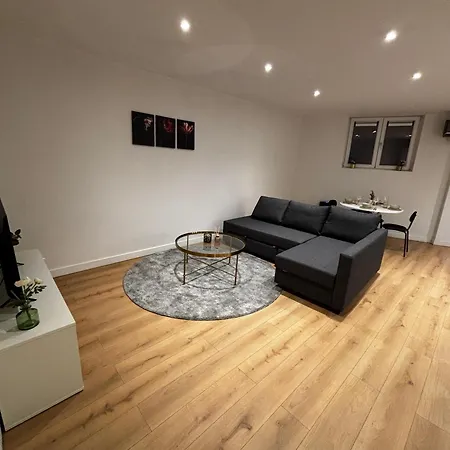 Stylish 1br & 1lr Apt, 15 Min Walk To Center Apartment Ghent